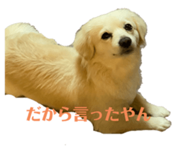 675509441