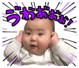 675510445
