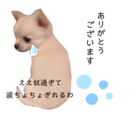 675515432