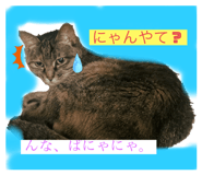 675521141