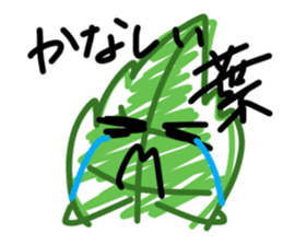 675522875