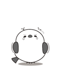 675536403