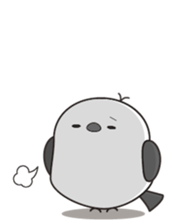 675536405