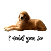 675536935
