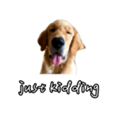 675536936