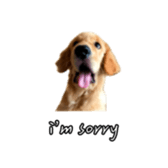 675536938