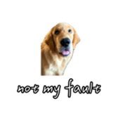 675536939