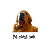 675536940