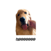 675536941