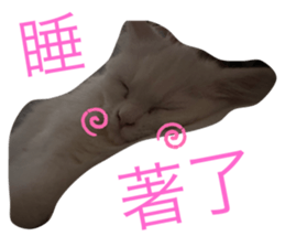 675551174