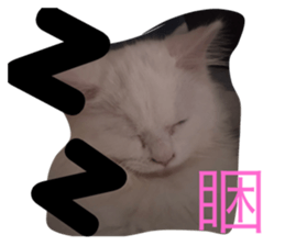 675551186