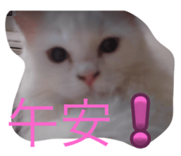 675551192