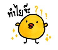 675552958