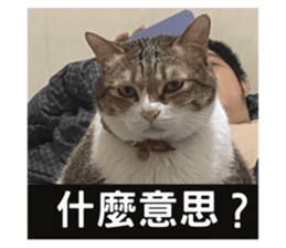 675559001