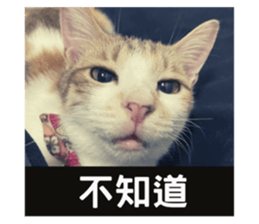 675559004