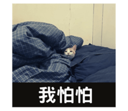 675559006