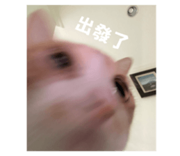 675559120