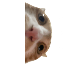 675559123