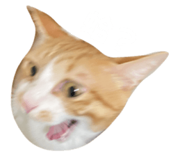 675559127