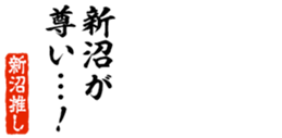 675568310