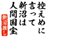 675568339