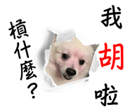 675574431