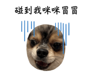 675574445