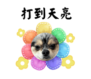 675574450