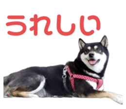 675590132