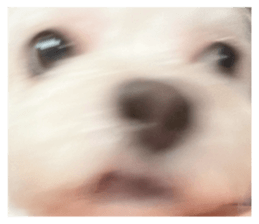 675597277