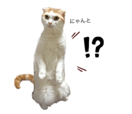 675597907