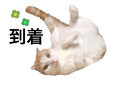 675597910