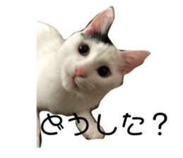 675600496
