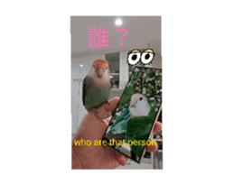 675601854