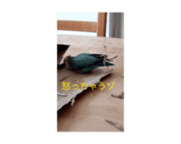 675601856