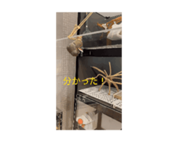 675601860