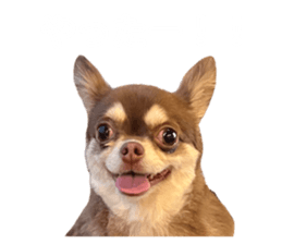 675626371