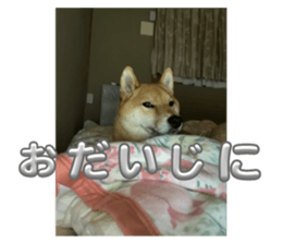 675626770