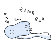 675650069