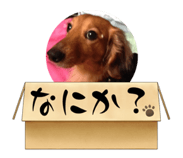 675653366