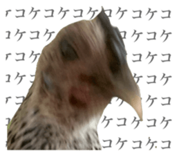 675655071