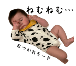 675665074
