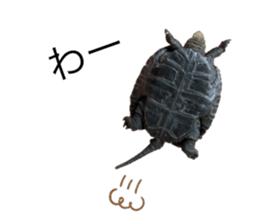 675668138