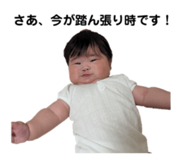 675679500