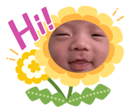 675681339