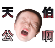 67568369