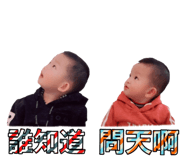67568378