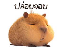 675694425