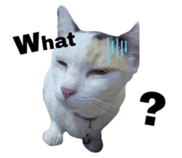675698855