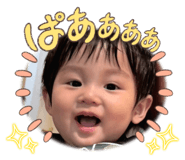 675701554